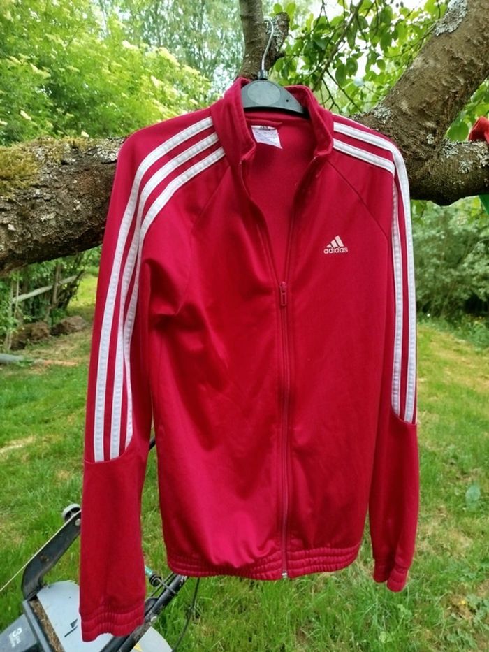 Veste adidas