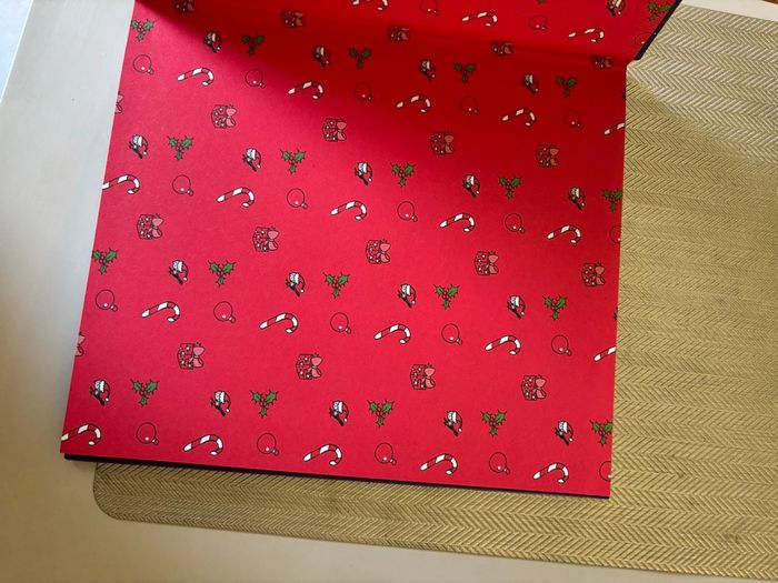 Sami et Julie 24 histoires de Noël 🎄 - photo numéro 3