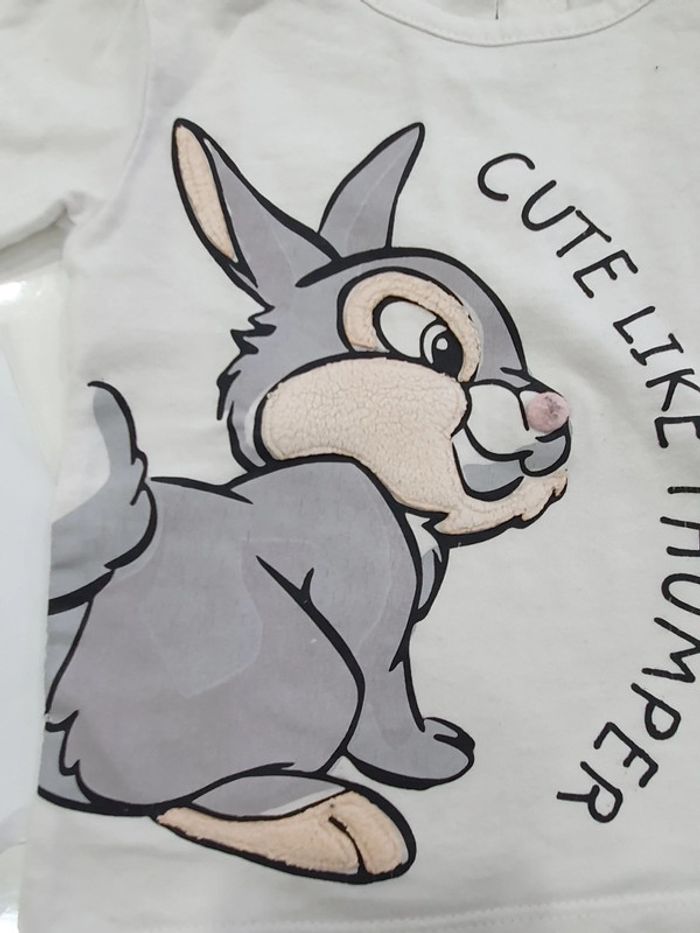 Petit pull pan pan le lapin, 12 mois 1 an - photo numéro 2