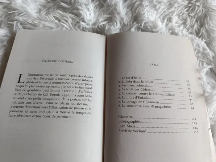 Livre L'épopée de Gilgamesh en 8 récits _ dès 11 ans _ Flammarion Jeunesse _ Jean Muzi - photo numéro 11