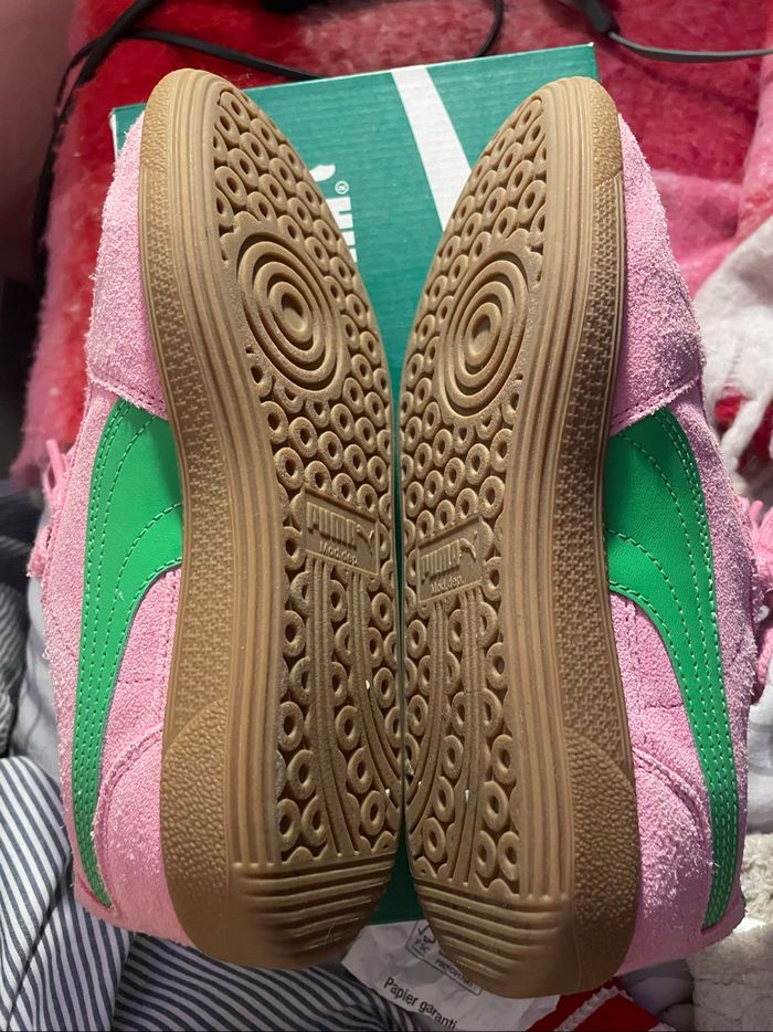 Puma palermo - photo numéro 4