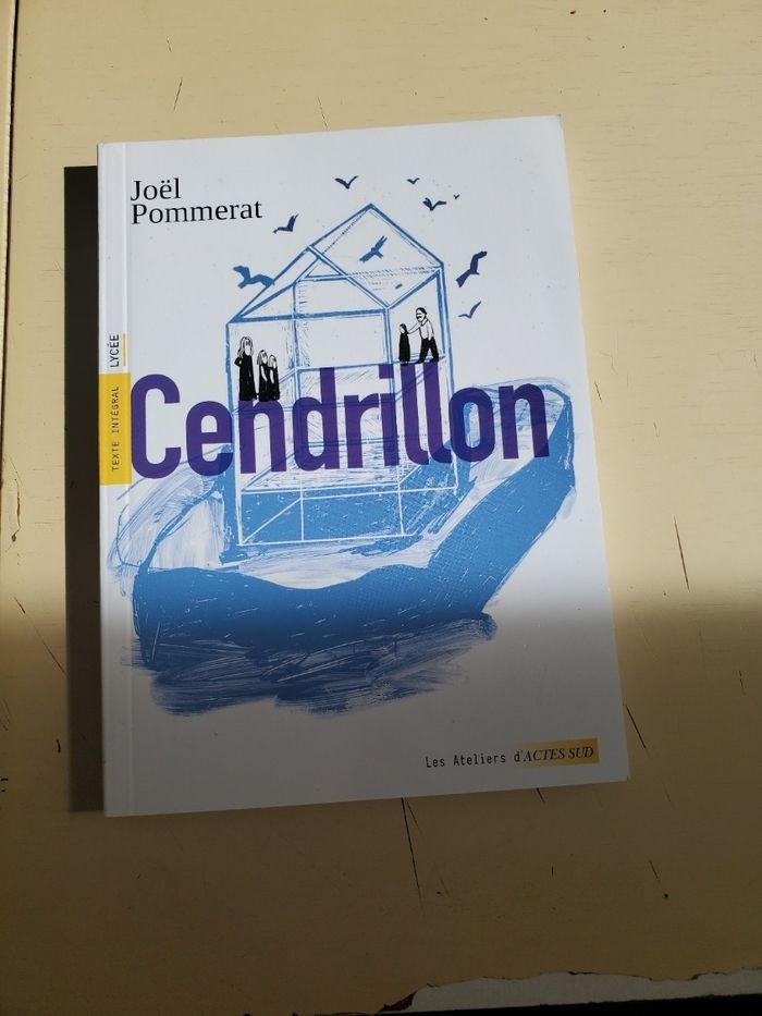 Livre cendrillon de joël pommerat - photo numéro 1