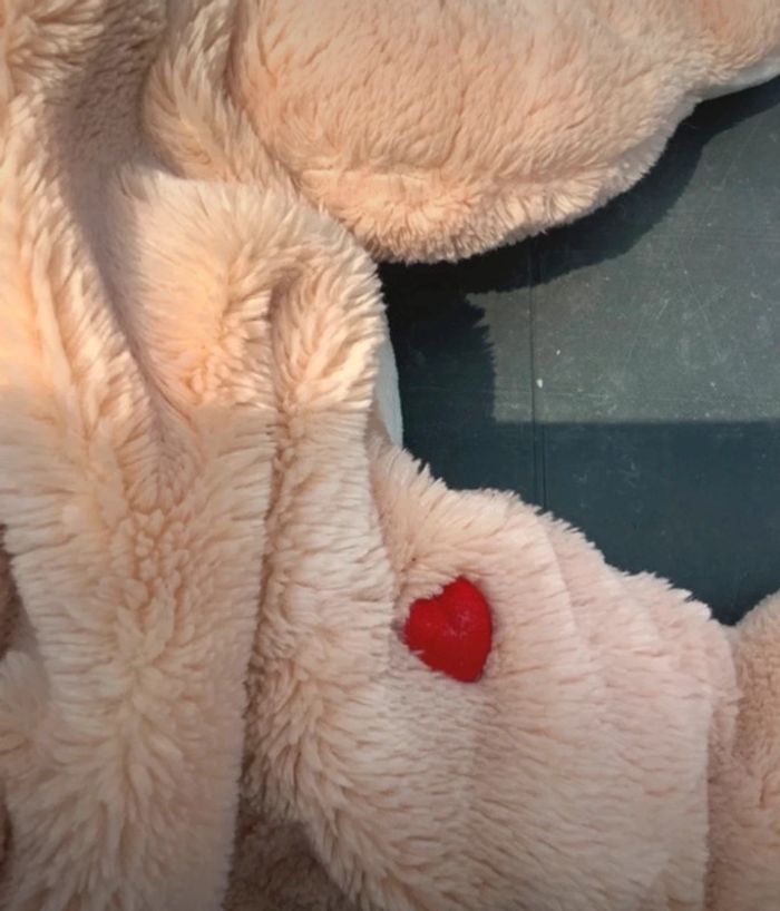 Sac à dos bisounours Carebears - photo numéro 5