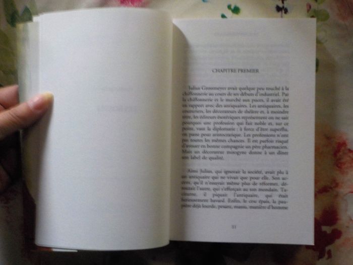 LE BORD DES LARMES de Jean-François DENIAU Ed. Arléa - photo numéro 6