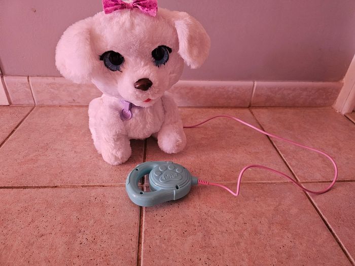 Gogo mon chien qui danse furreal - photo numéro 2