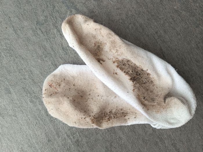 Chaussettes