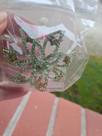 Broche verte et argentée