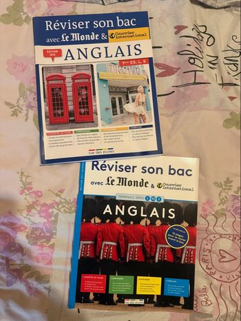 Livres d’anglais 