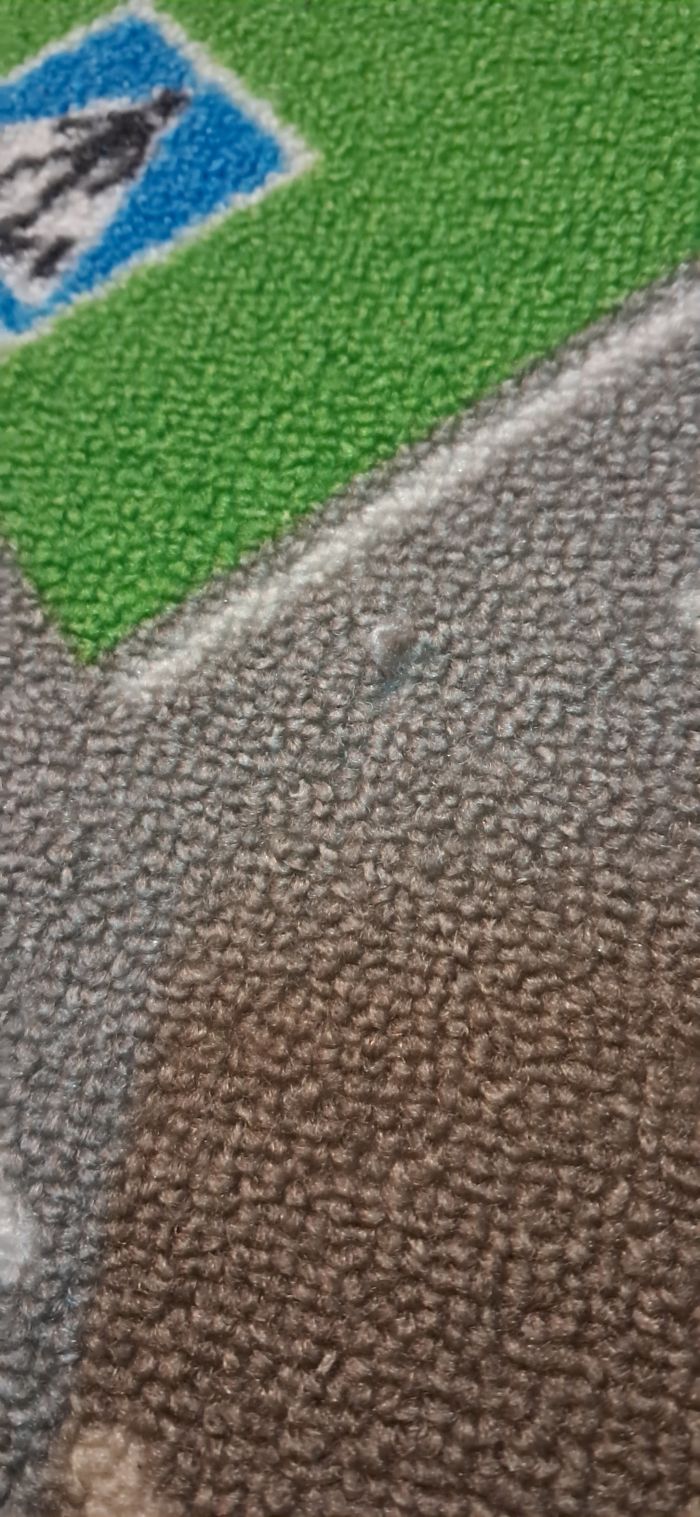 Tapis de voiture - photo numéro 4