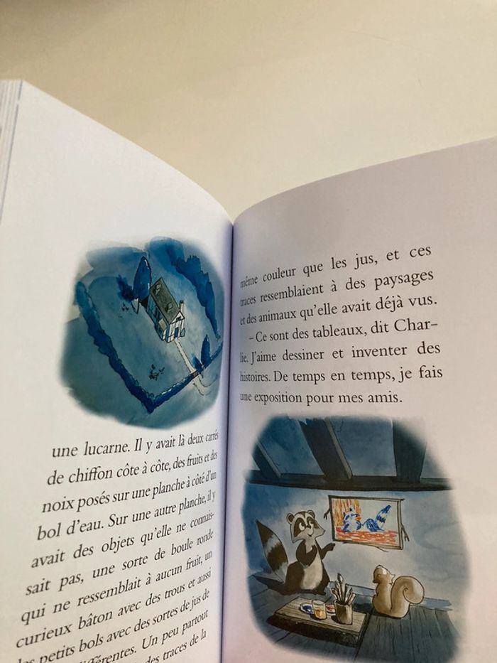 Lot 2 livres Animax 5/7 ans - photo numéro 2