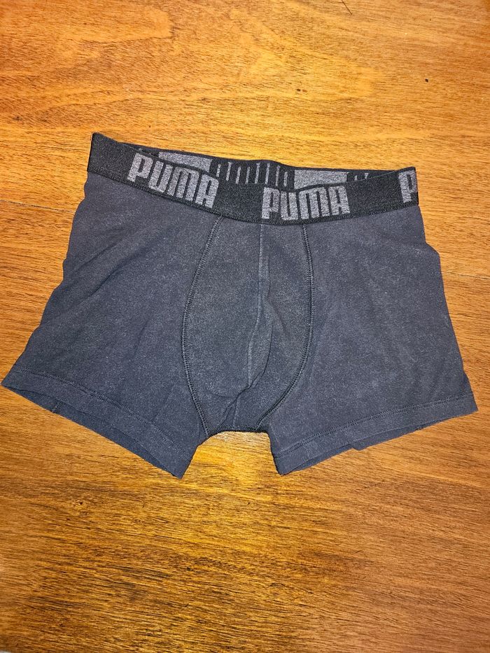 4 Boxer puma - photo numéro 5