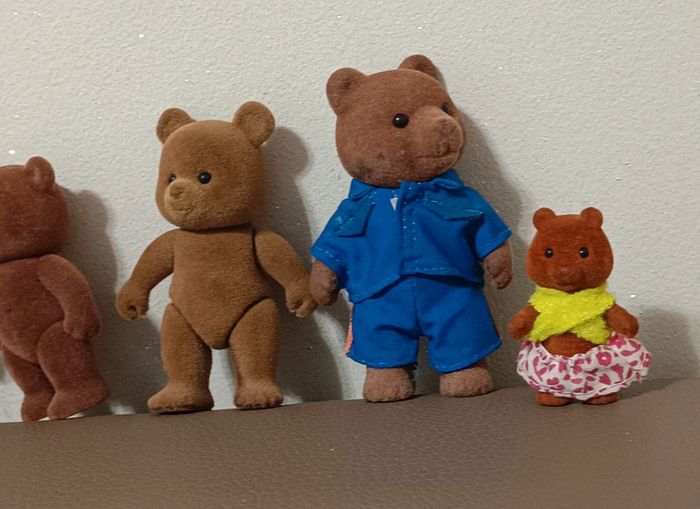 Famille ours brun marron - photo numéro 4