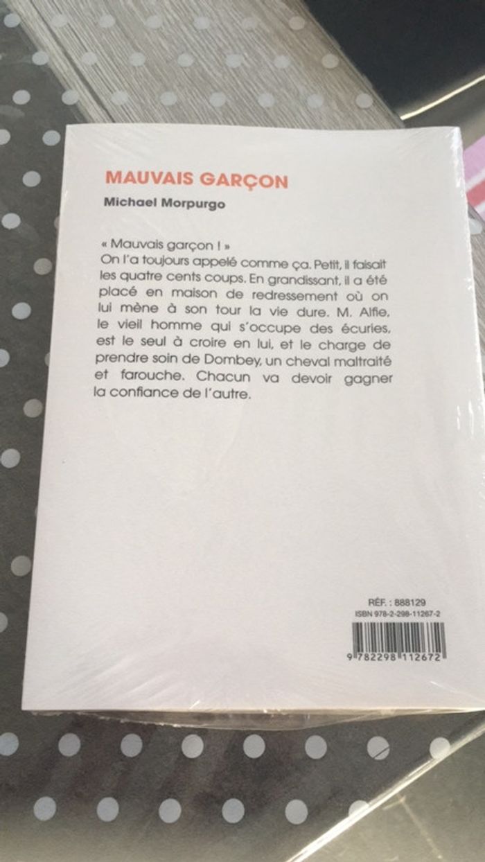 Livre mauvais garçon - photo numéro 2