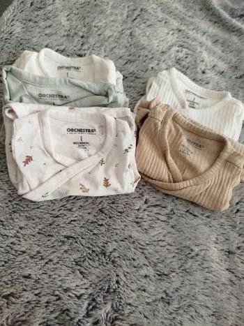 Lot bodies