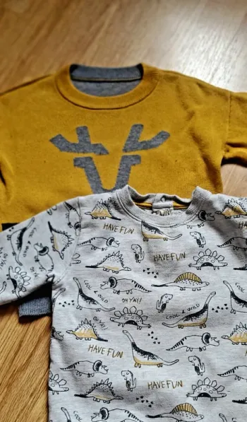 Lot de 2 pull