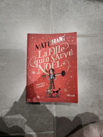 Livre : La fille qui a sauvé Noël