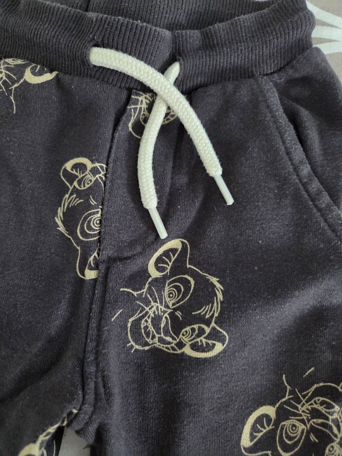 Jogging roi lion - photo numéro 2