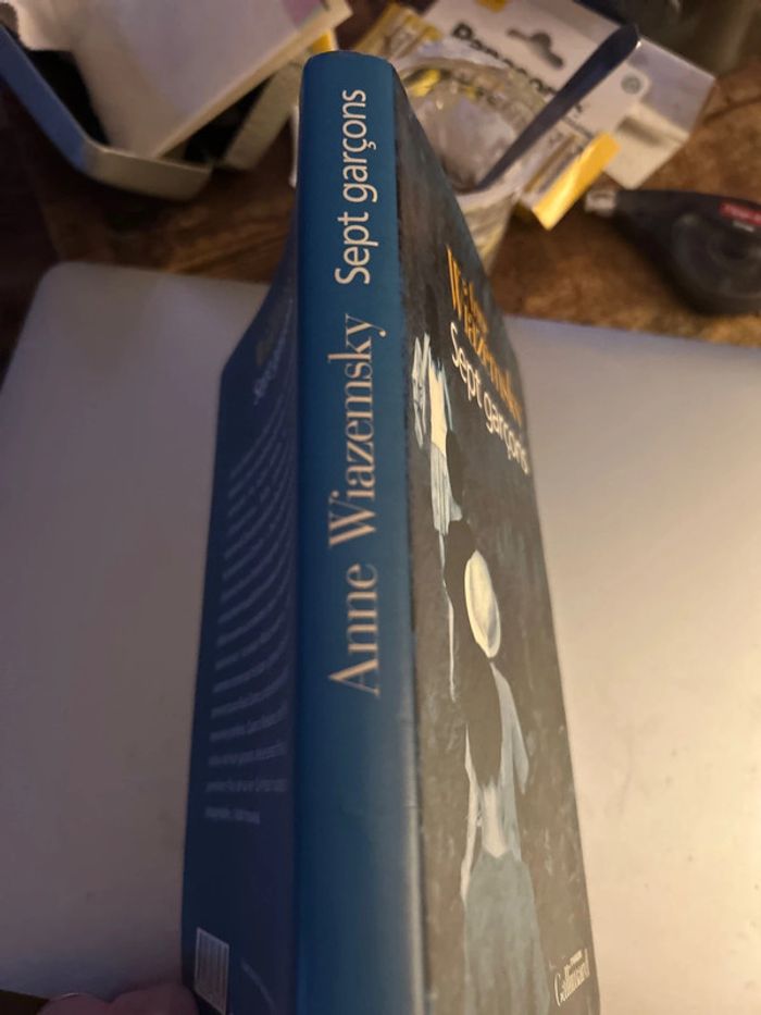 sept garçons - photo numéro 3