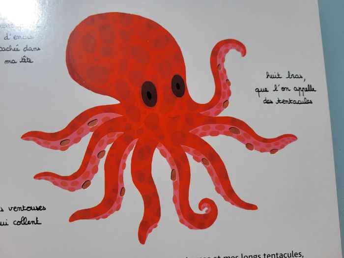 Beau livre animé 🦀 Mes animaux des mers 🐬 à toucher 🦐 Milan Jeunesse (72) - photo numéro 8