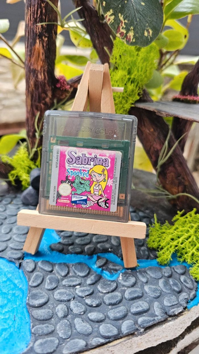 Super jeu Nintendo gameboy color sabrina - photo numéro 2