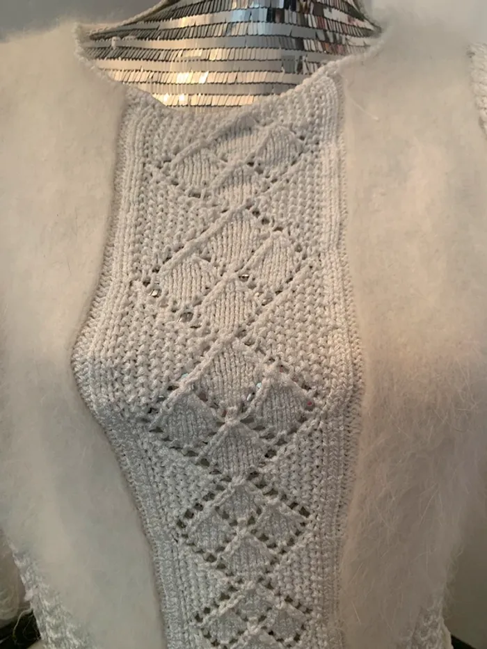 Pull court taille 36/38 - photo numéro 2