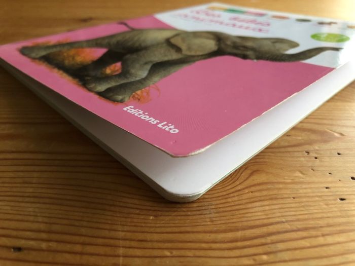 Livre Les bébés animaux - photo numéro 6