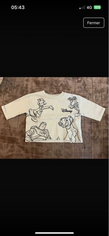 Pull Disney bébé garçon