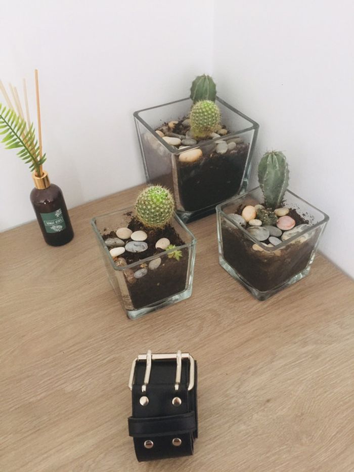 Ceinture noire - photo numéro 2