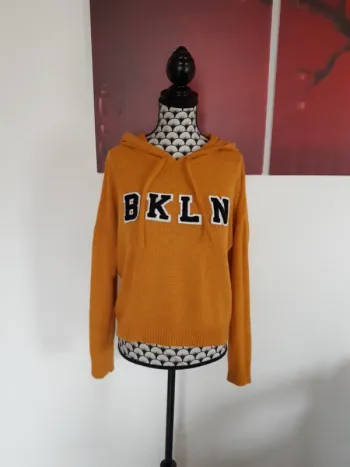 Joli pull a capuche taille M