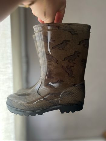 Bottes dinosaures