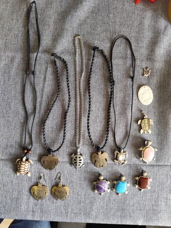 Lot bijoux tortue