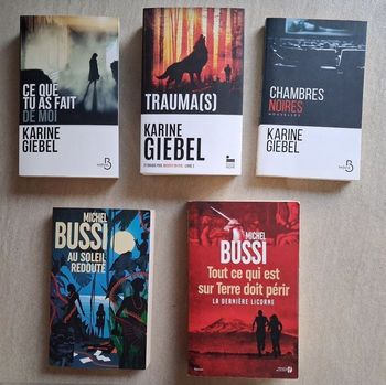 Lot 2 thrillers de Michel Bussi - Grand format