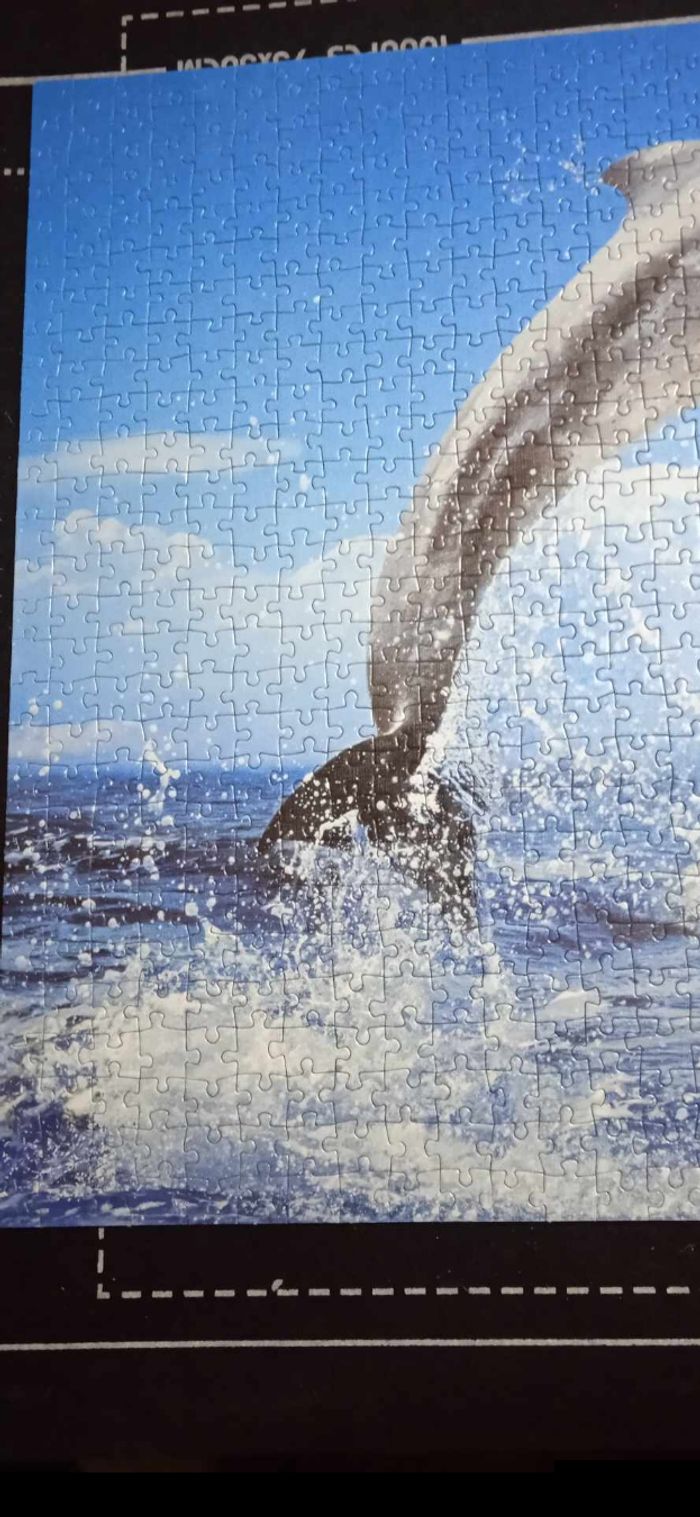 Puzzle Dauphins 🐬 - photo numéro 3
