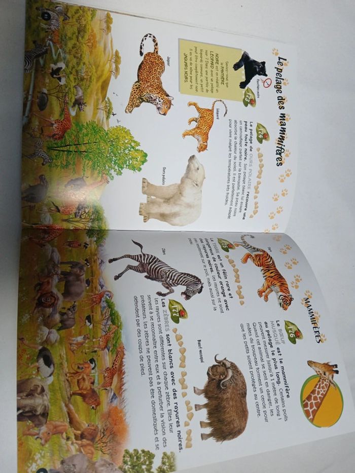 Livre 500 questions et réponses sur les animaux - photo numéro 3