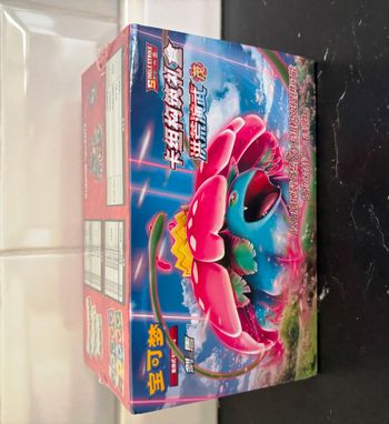 Display Pokemon TCG Chinois Epée & Bouclier 100 cartes à collectionner Version simplifiée
