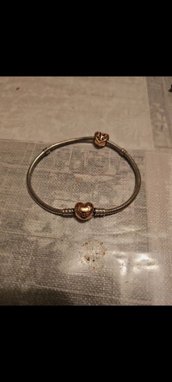 Bracelet pandora taille 21  avec un charm