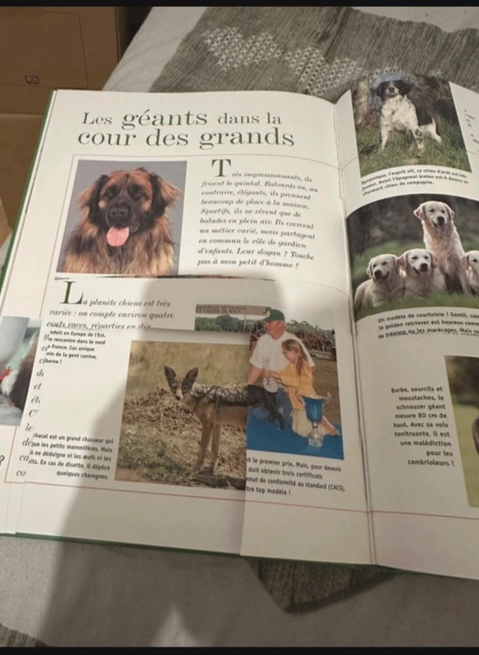 Livre sur les chien 🐶 - photo numéro 5