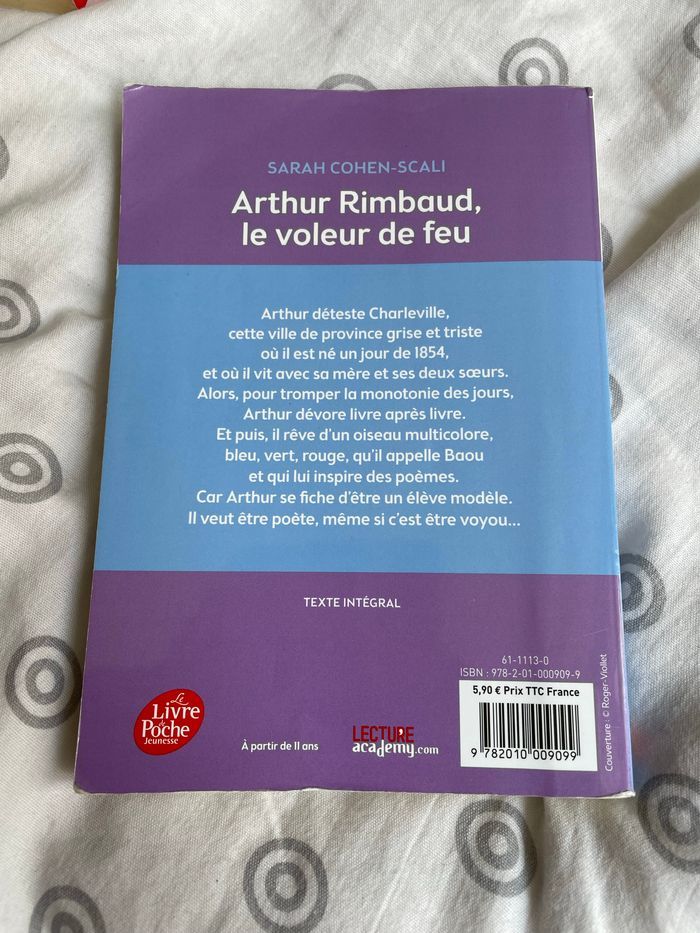 Livre Arthur Rimbaud le voleur de feu - photo numéro 2