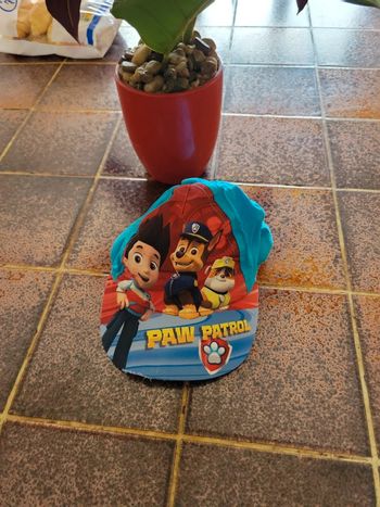 Casquette paw patrol
