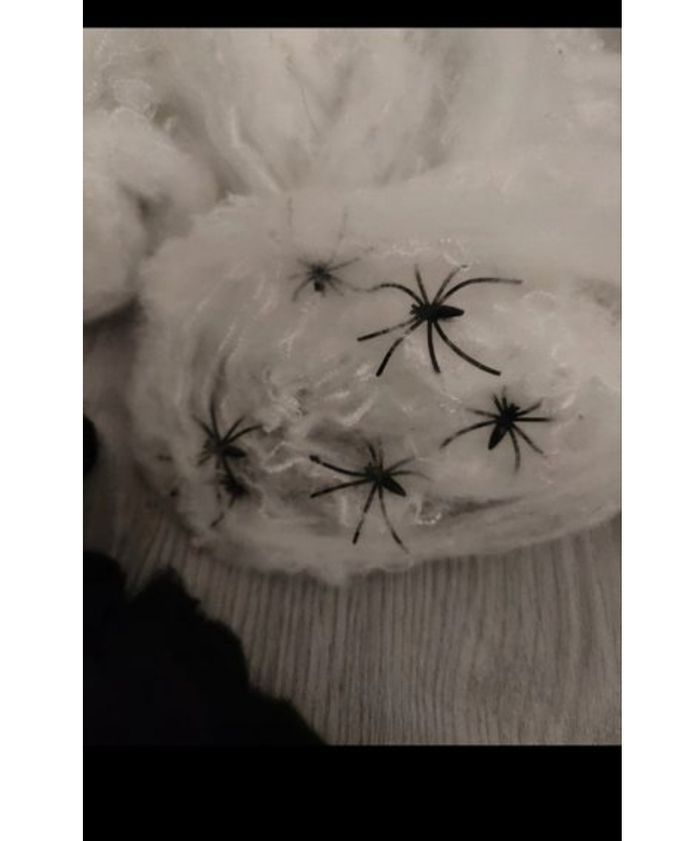 Décoration pour Halloween - photo numéro 2