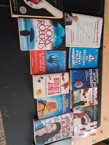 Lot de 13 livres