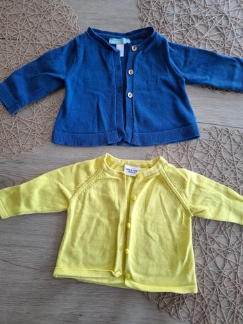 LOT DEUX GILETS