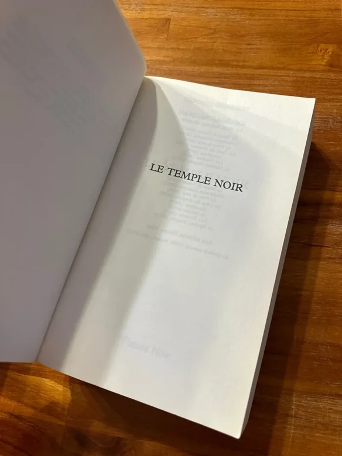 Lot de 2 livres giacometti Ravenne - photo numéro 9
