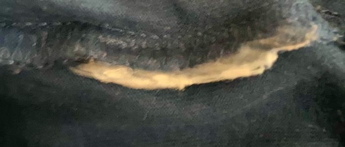 Tee-shirt »Vertbaudet »bleu marine et vert - photo numéro 4