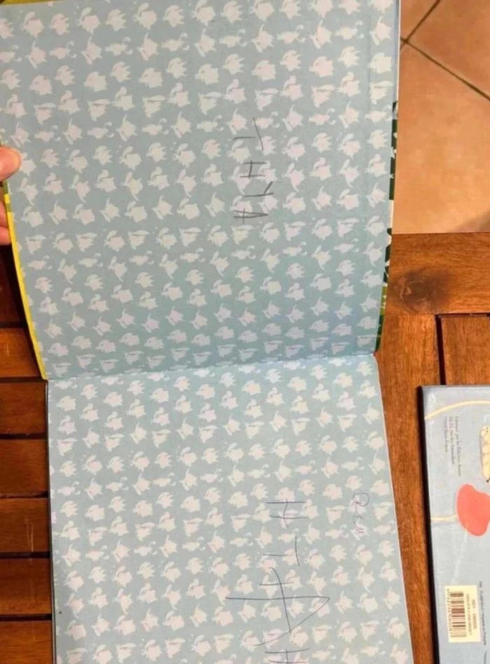 Lot  4 livres - photo numéro 4