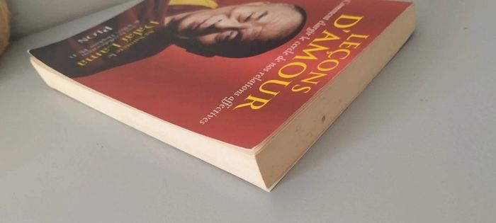 Leçon d'amour, Dalaï Lama - photo numéro 5
