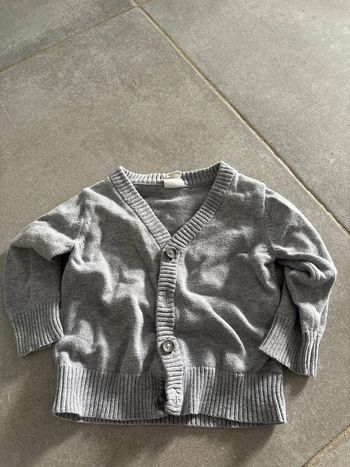 Gilet gris clair