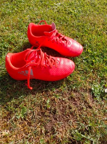 Chaussure foot salle adidas
