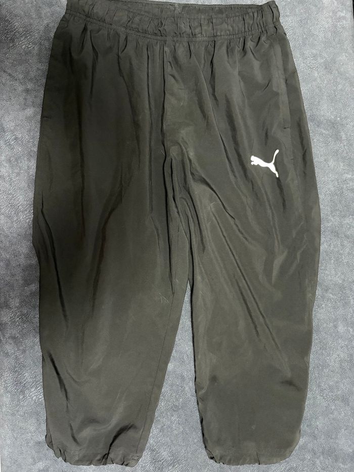 Pantacourt puma