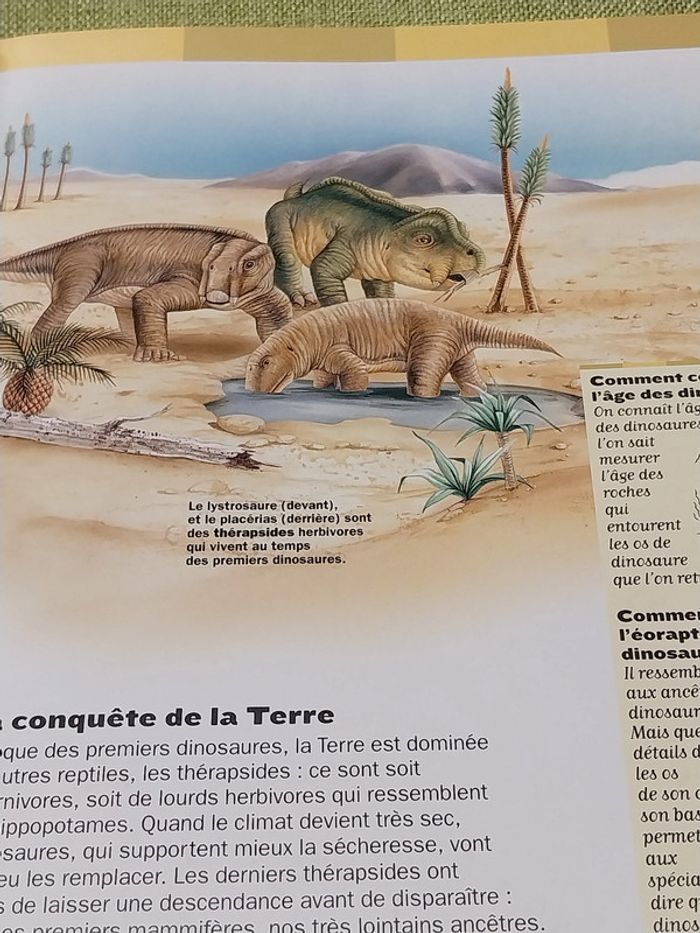 Les dinosaures livre enfant jeunesse Larousse - photo numéro 5